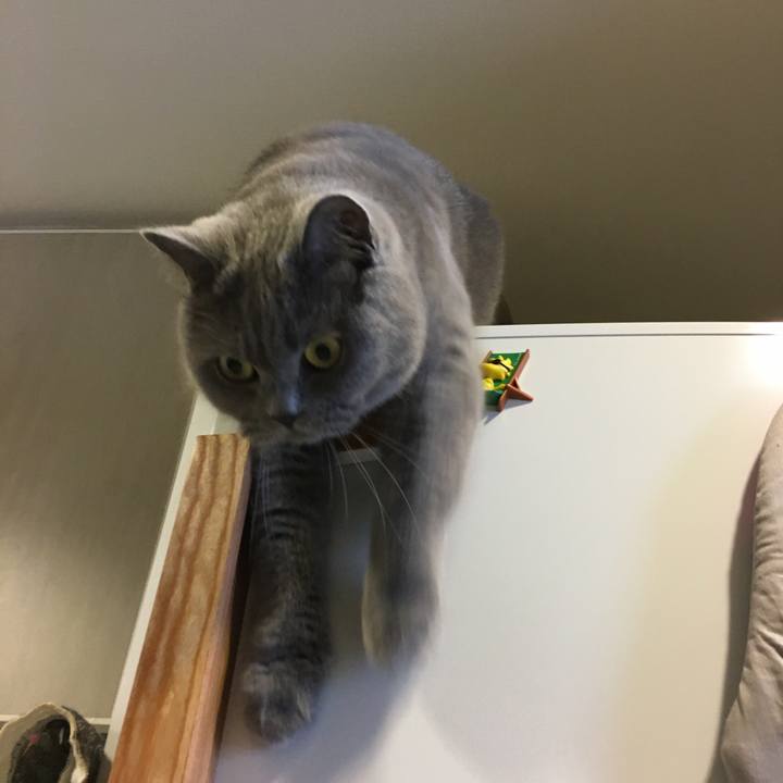 7313f038 fe80 47c1 a235 9003753fc6d1 1511058070100