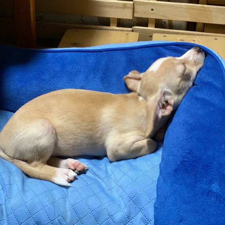 7313f140 d3d5 4972 ab42 eb9d352424f4 1662686430562