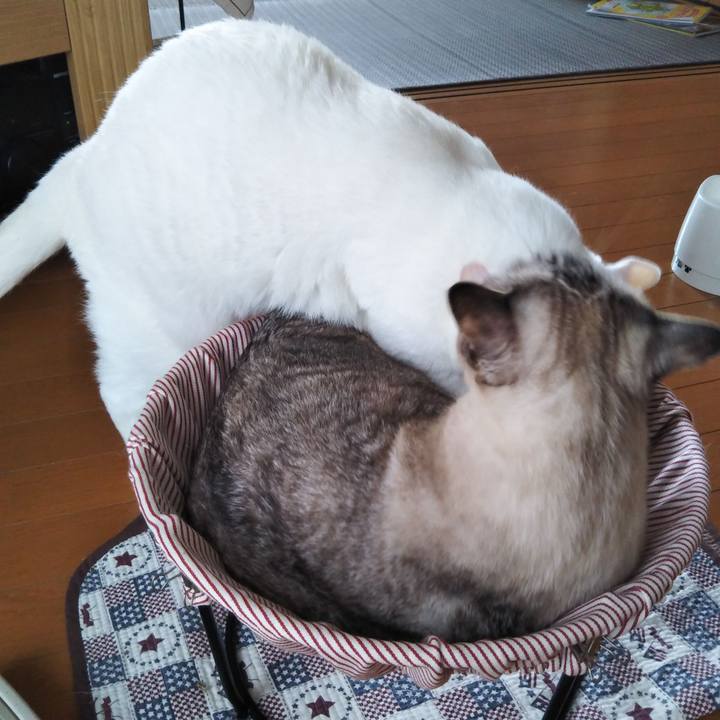 731400fd 7a76 4973 a448 1aff1f31739f 1567919252665