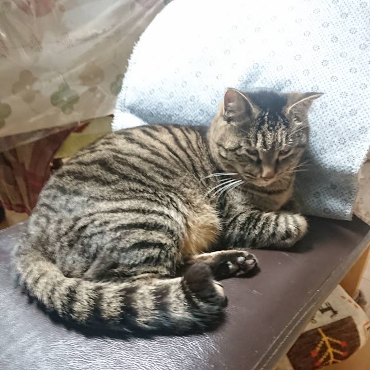 731446ae ba1a 4eeb 8807 a0667c7d7097 1643405333545