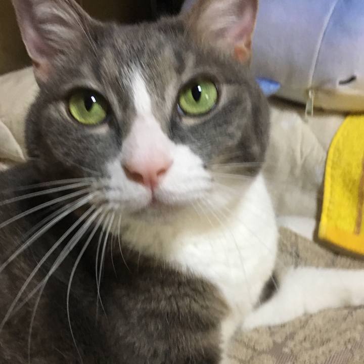 73147e10 548c 4ffe 9014 2e74ac770a13 1566103242371