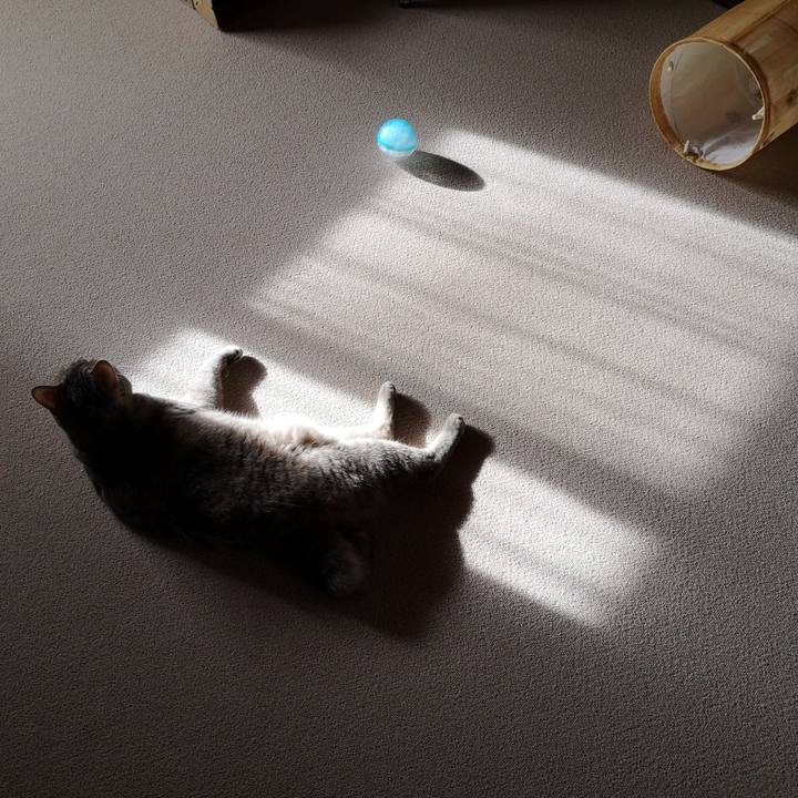 73148e7b 1781 4f48 88bf c59bd3d5b8af 1570930948311