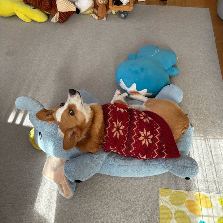 73149d02 f266 4fe3 9901 e3e5b046d32d 1769140891456