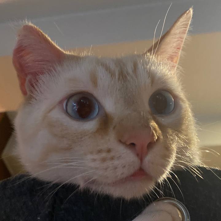 7314e02e 4f2e 45ff ad83 8c647b3ac6f3 1645940236252