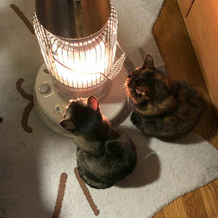 7314e9b1 6408 4232 b4fb b85a51b7c12a 1607481799718