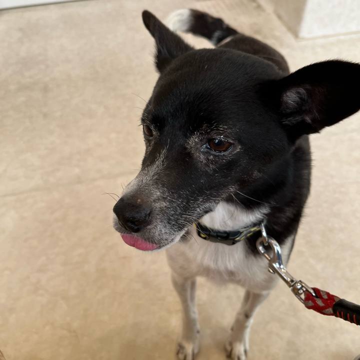 7314f952 48ac 4125 9763 9348b445ab81 1655524923250