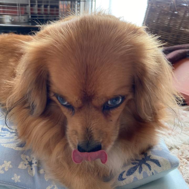 73151b03 21c7 4ae1 a2e9 49822d1cae40 1609288932003