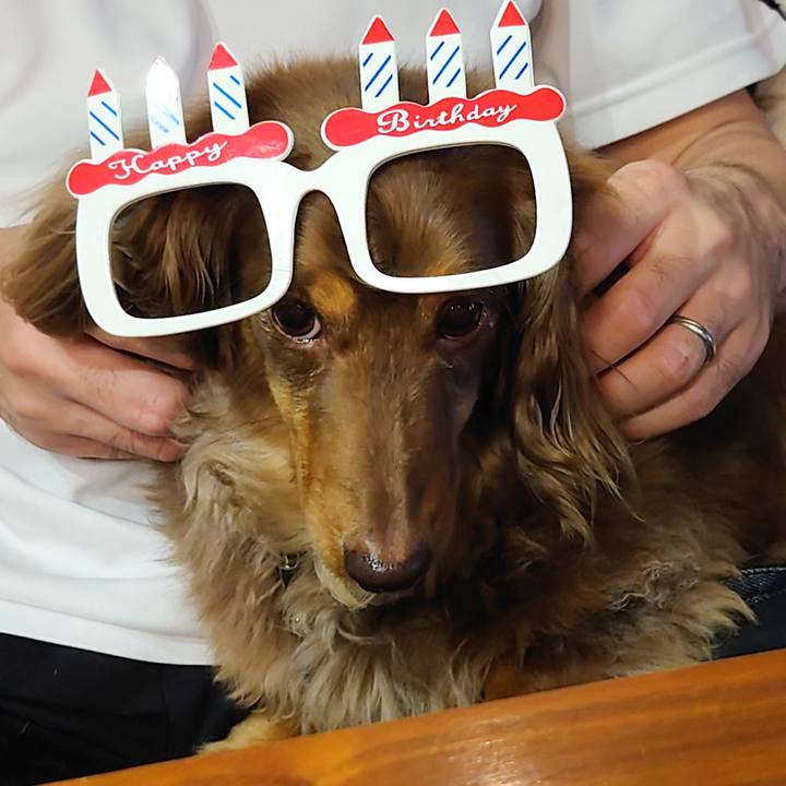 731521be ef17 49cc a21f 68b74ffd1f0e 1652540996560