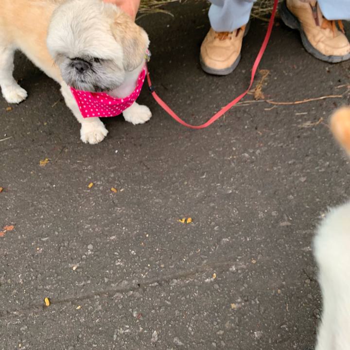 73152798 eb9e 42f2 90d1 3df038c78519 1565648887750