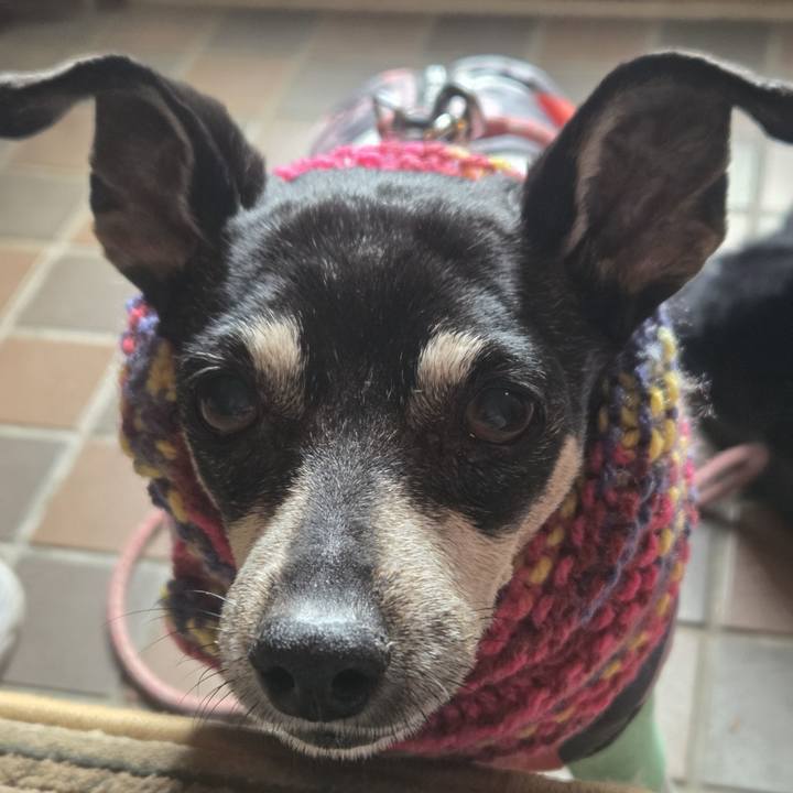 73153370 cb71 435e b640 530f54359889 1766799821334