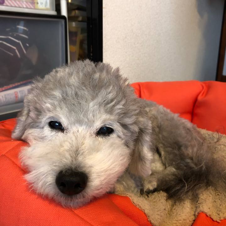 73155ef4 f2a3 49ec 8a52 78d6e18bf79b 1528758698188