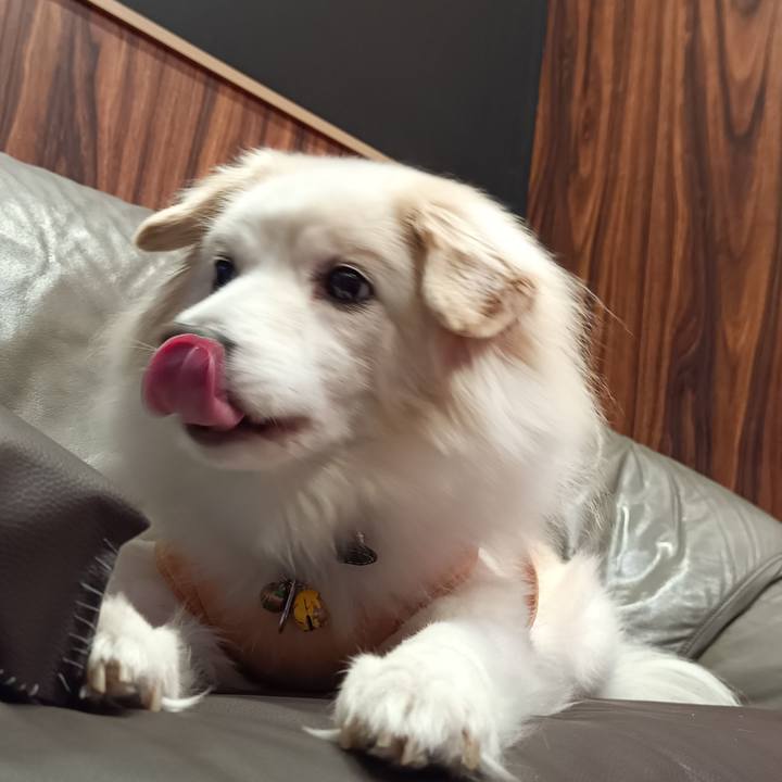 73158125 c753 4a6e a0b3 7366e91d8a2d 1708864922722