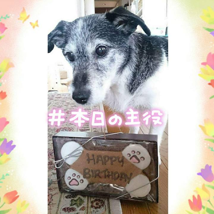 731597cb a308 4833 803d 9a98ff0ea152 1588041775423