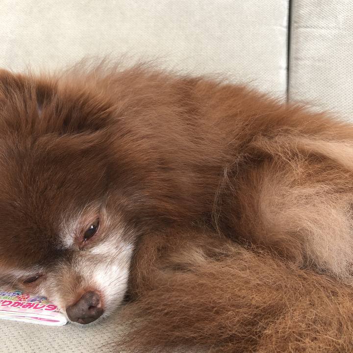 73159fda ef5a 4a98 bdc1 21bd105f76f9 1615771446178