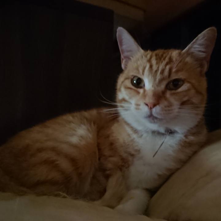 7315b760 3918 471a 8d10 0fdd5d4c660a 1589596541474