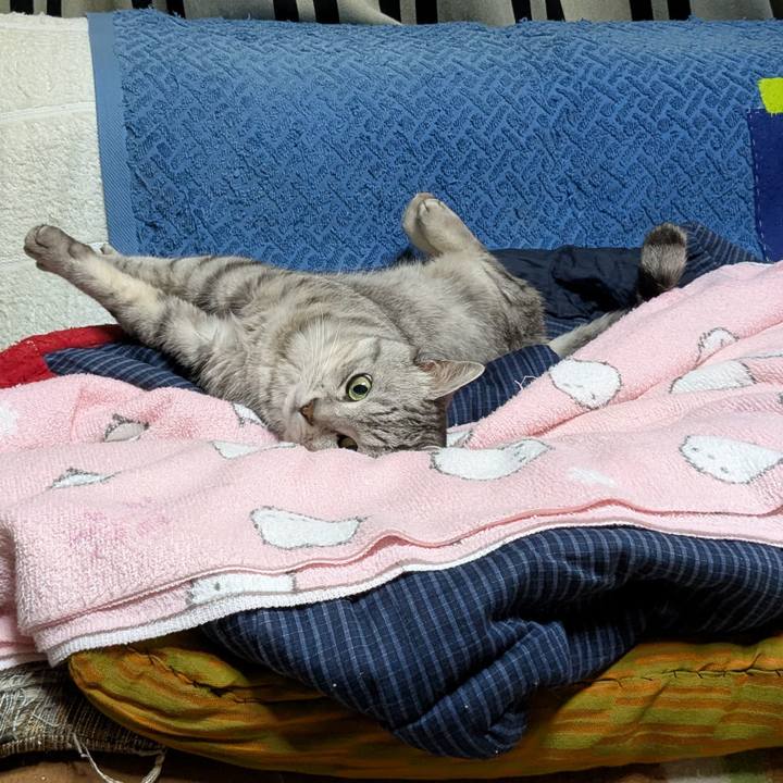 7315c69f 0a8b 4484 a8df 645641c68593 1759507986311