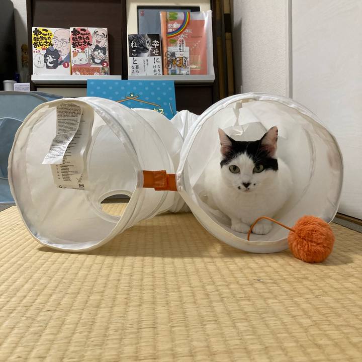 7315e526 9adc 44ea b676 7a7d6383ac9f 1758627572074