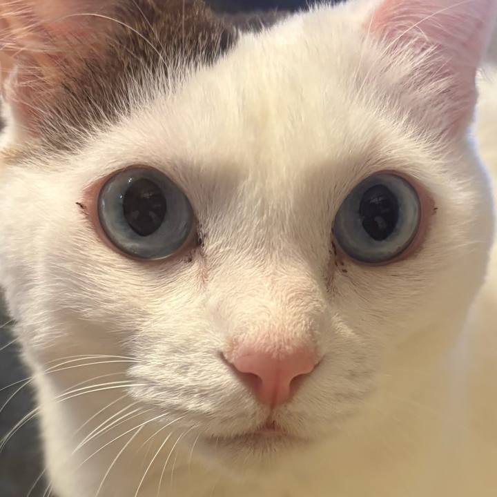 7315f43c 8808 438d 8ae2 6411a4b12791 1773012035777