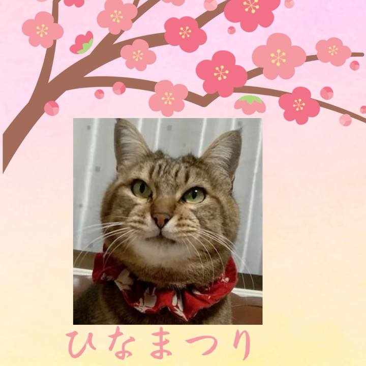 73161fe9 05e6 4137 ad2f 2bf5cfa70193 1772498941929