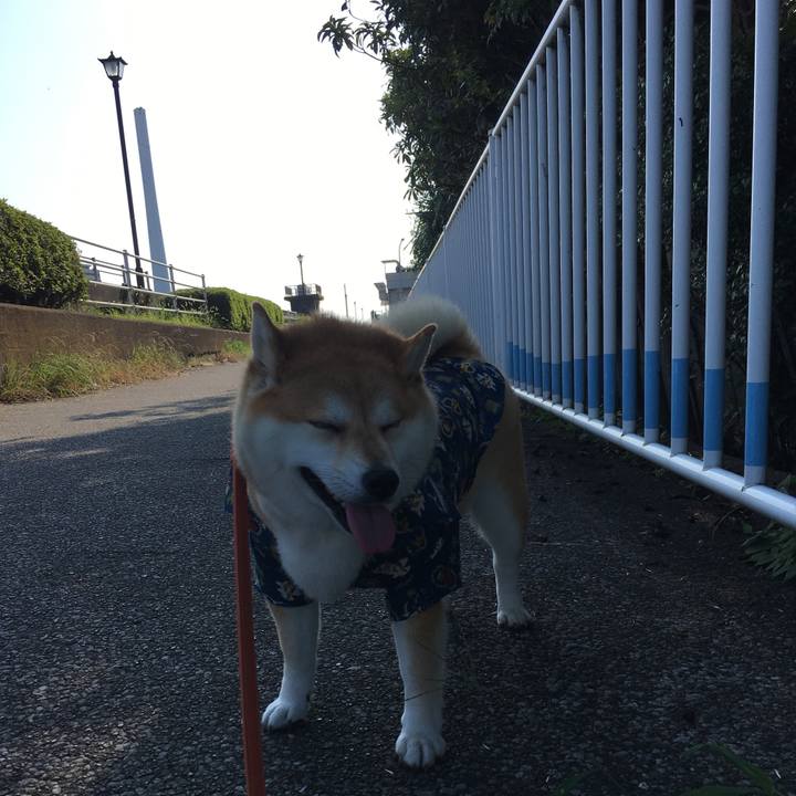 73162db2 c883 413e 8773 bc075f07bcff 1564788658194