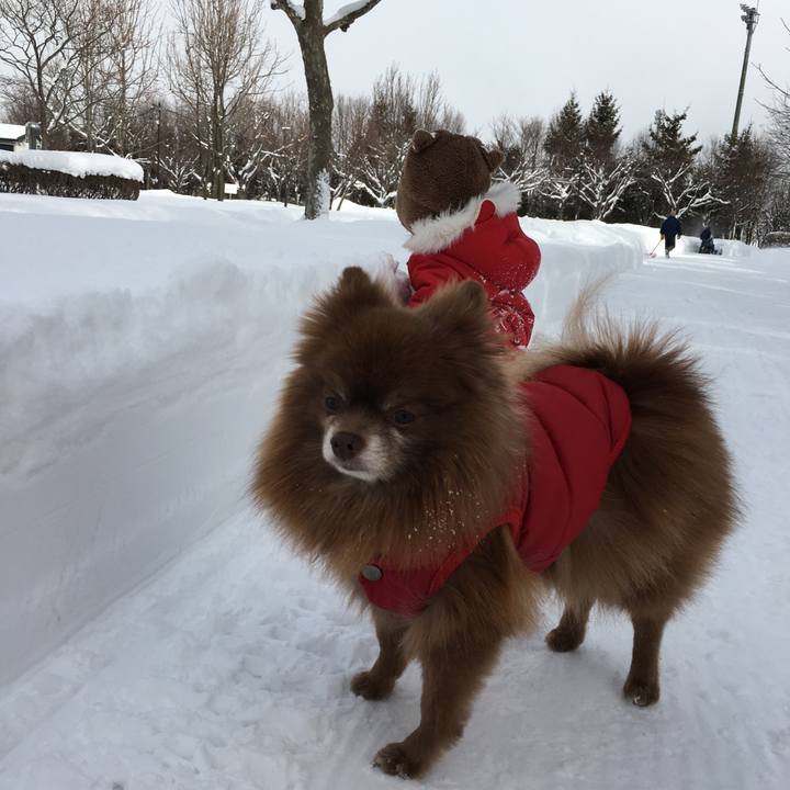 73165180 7d28 4ce6 bb50 4e21a8d070bd 1517465984883