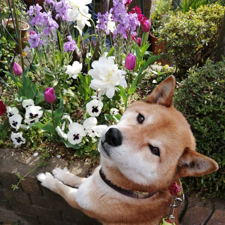 731656e0 7b18 4cb1 8628 c7b2150bf437 1587081894239