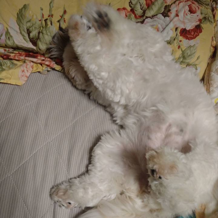 73165c7a 7c5a 4e84 9675 ae0c5a179ea2 1629757231955