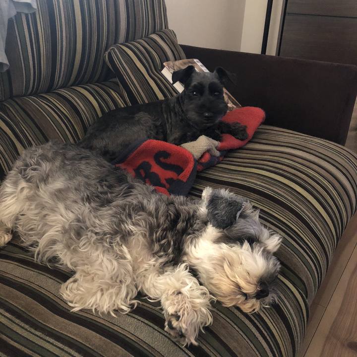 7316920e f707 476d 8acd a96271a3d6e6 1520059259904