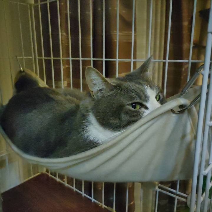 7316a3a1 4bcb 4601 a170 346e3256b15c 1683983256581