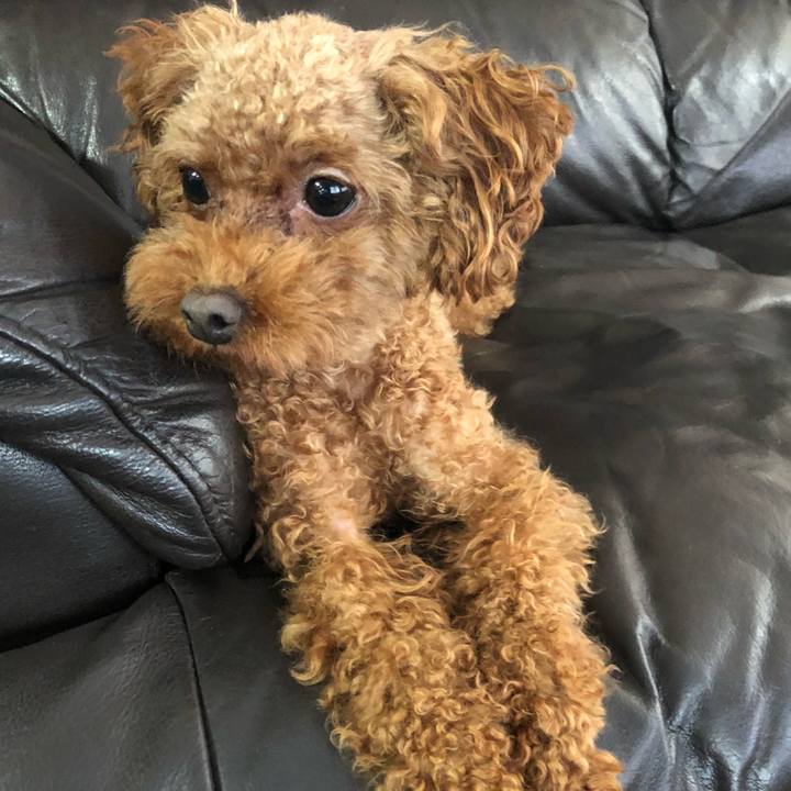 7316aea4 51ff 41eb be67 6516d58f60c0 1534388062203