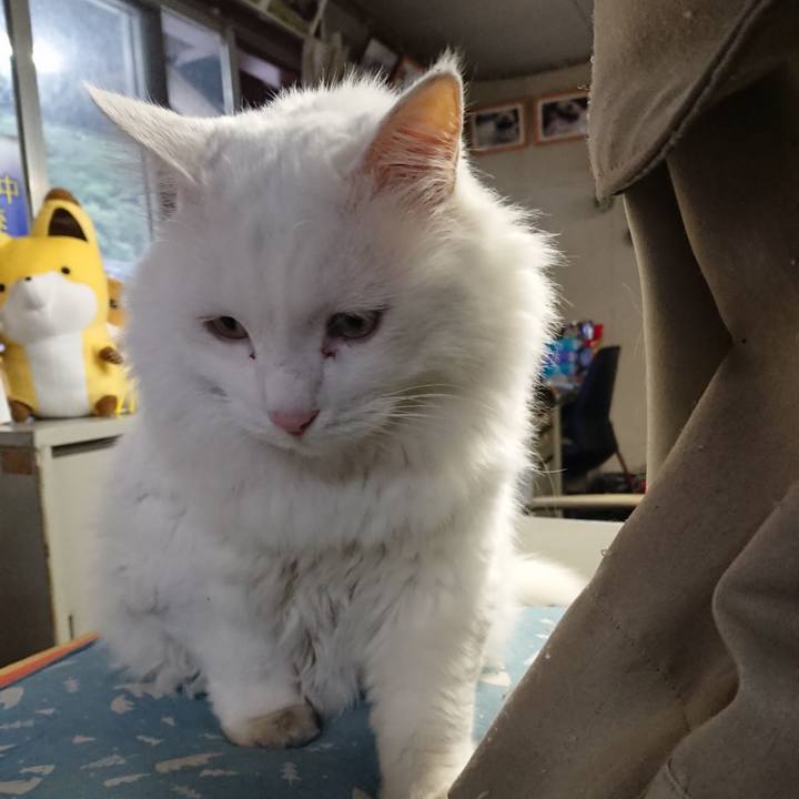 7316d748 84e6 4ad0 981d 7f30ebdf8175 1571610191320