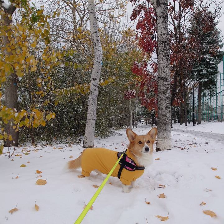 7317109d 8c3f 401a 8ab0 6af3aee1c41b 1762570823576