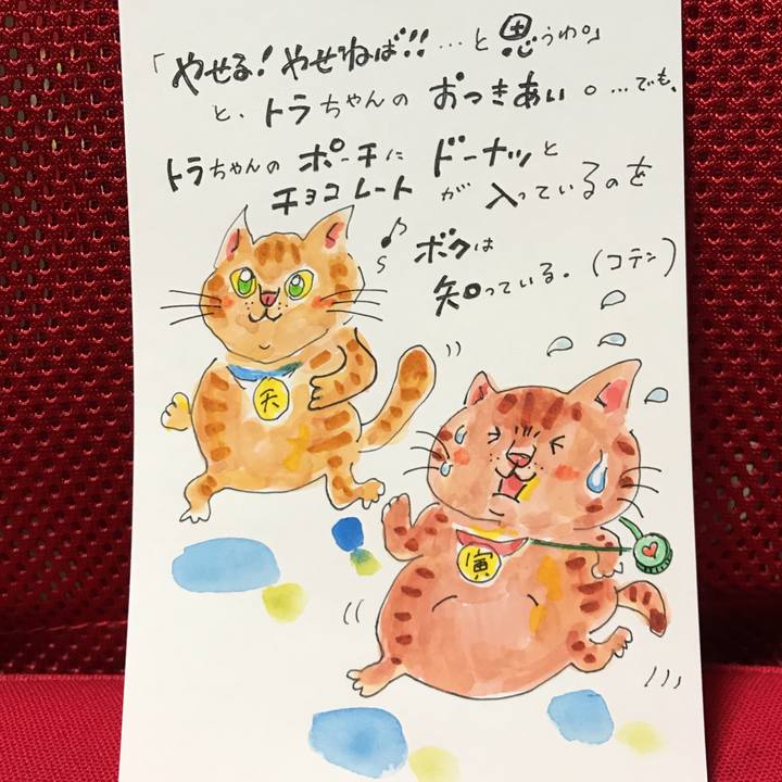 7317142b 664c 4358 b39e b973380e4b0f 1538490597813