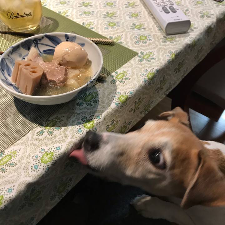 7317e3ba dd6b 4ad8 a7d2 9520af65363a 1576918396144