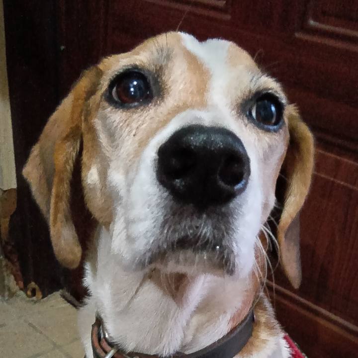 731853c7 c2ef 4360 95a1 f588c41c488c 1727689913076