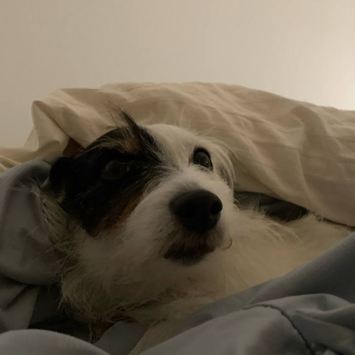 73185536 e35d 453f 8d67 ed0b6cc607e9 1665758861916