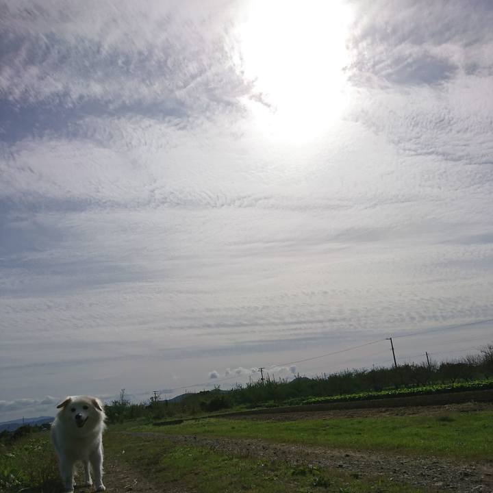 7318b3b7 ddaf 4c6e 9e78 50bb1aff75ea 1539393579332