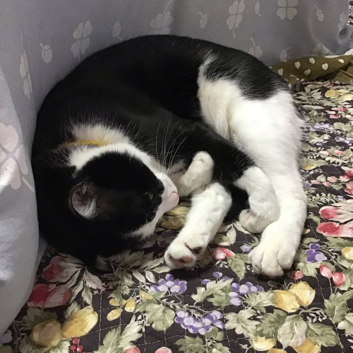 7318ed83 b2da 4ef7 94b4 d19e17ce4eae 1650160726659