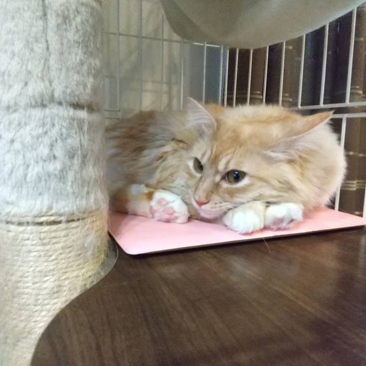 7318fa23 475a 41b0 b708 8b11f894ac63 1641898285145