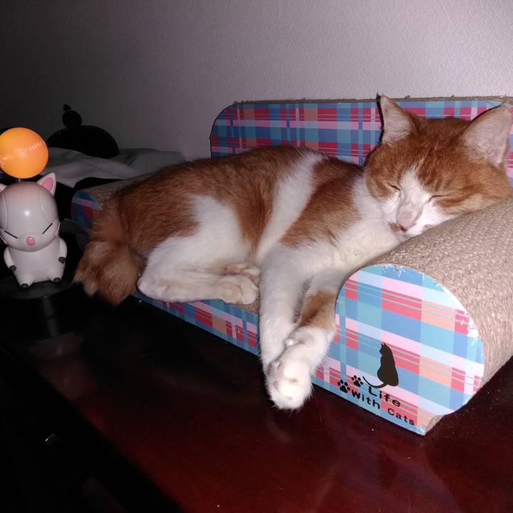 73190803 f0a8 497a a6f4 48f071b55b1f 1563831892653