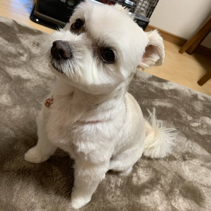 73191324 0758 4bc7 bcdc 4bb580b51596 1608532416441