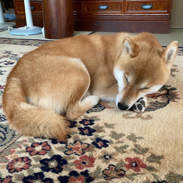 73191517 f9d1 4bb5 b4f0 cd0be9bd3b48 1685682180661