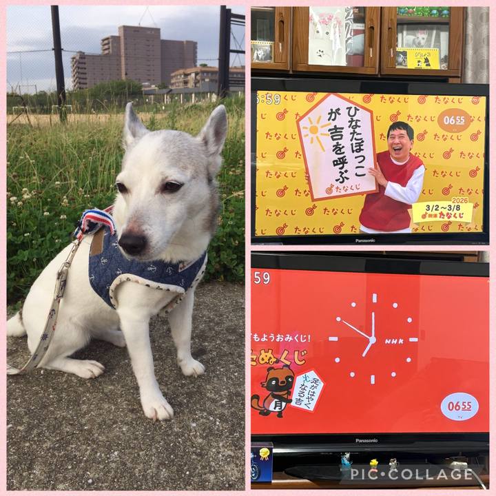 73191c17 6e6b 495c bd01 f5f8053b178a 1772403088888