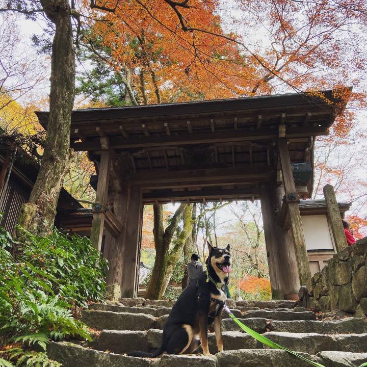 73193e75 02f6 4245 86cb 466c970266e2 1574847566542