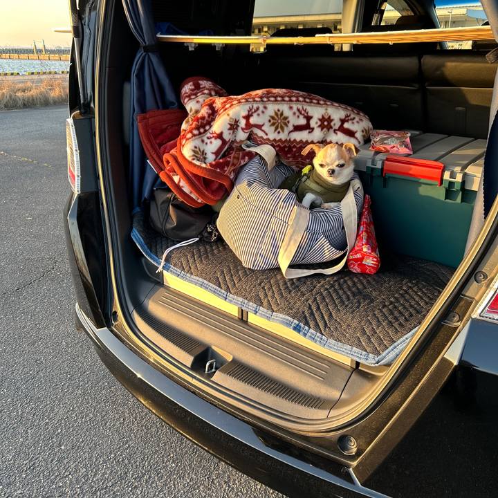 731940a6 8156 405f a2f2 5b6cba9c8664 1768721993953