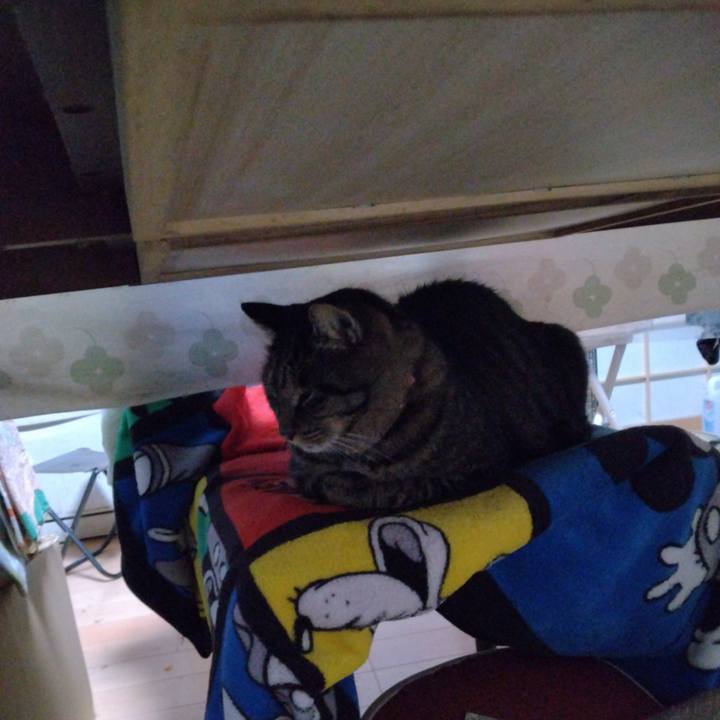 73195dd0 509a 4f9f 89e4 5d216b9a168c 1667599173408