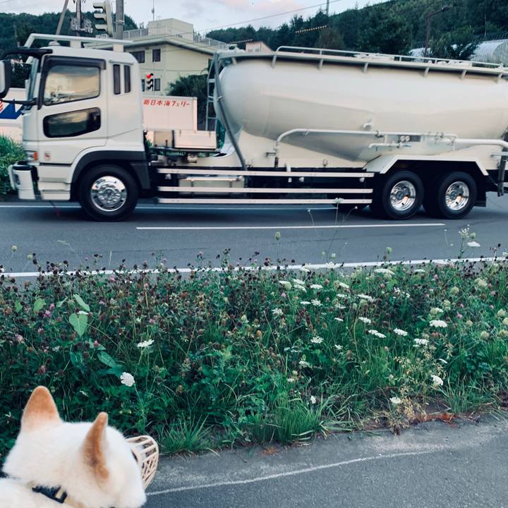 731973c6 4d97 403f a615 895f8c65e3b0 1598389682176