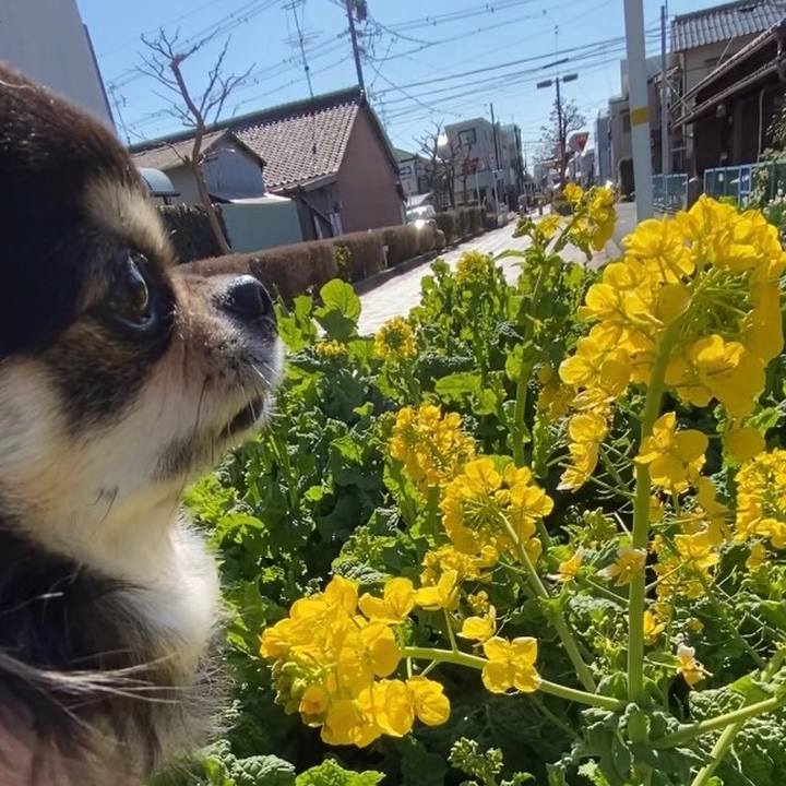 73199352 ecb4 4dee 960d 0d5fd9e39ae7 1645758459098