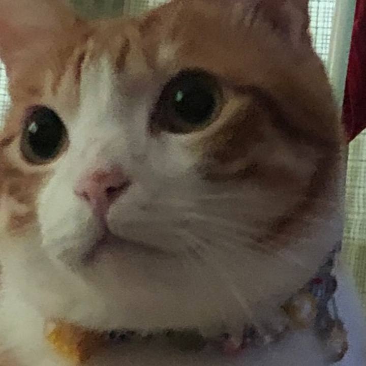 7319cf49 7db9 49b4 aaed 646b075465bc 1569637234907