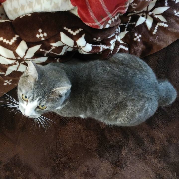 7319fef9 1c05 4091 943b afbac943ae2e 1580861555321